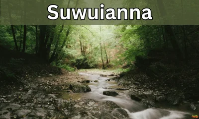 Exploring the Allure of Suwuianna: A Hidden Gem in Nature