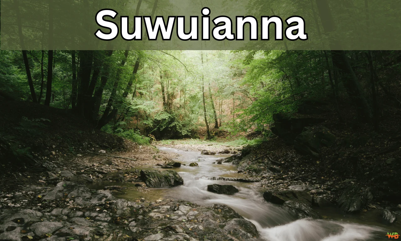 Exploring the Allure of Suwuianna: A Hidden Gem in Nature