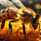 Everything You Need to Know About MMS 24 BEE