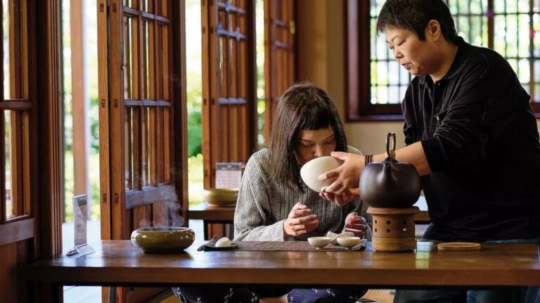 Teasemoonga: Exploring Its Diverse Interpretations and Applications